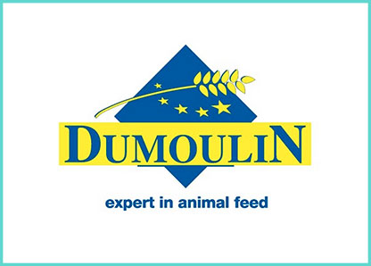 Logo-Dumoulin